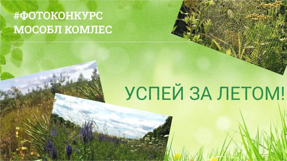 Комлесхоз Подмосковья запустил летний фотоконкурс