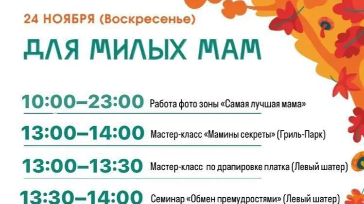 Концерт, мастер-классы и семинар запланированы ко Дню матери в Кашире