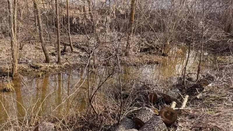 Минэкологии установило признаки нарушения водоохранного законодательства в Ступине