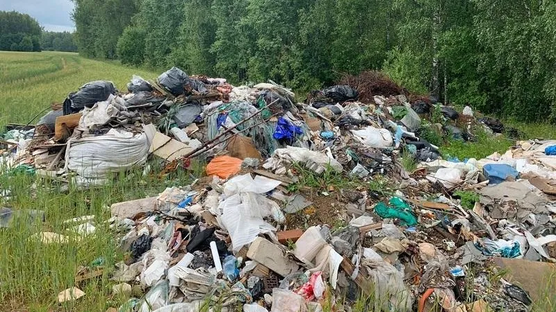Три незаконных свалки ликвидировали в Подмосковье