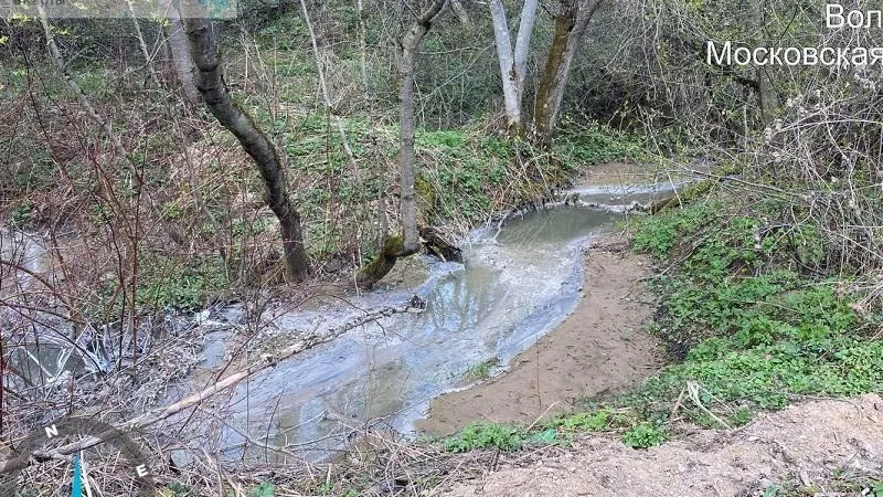 Коммунальщики Волоколамского городского округа вторично уличены в загрязнении водных объектов