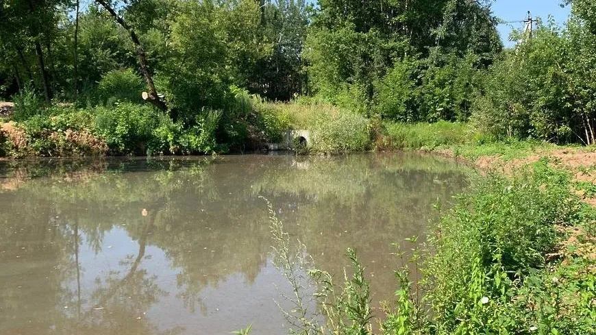 Источник незаконных сбросов в пруд на Садовой улице Балашихи выявят и устранят