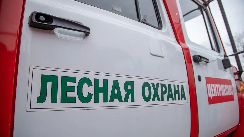 В Одинцовском округе усилили патрулирование лесов