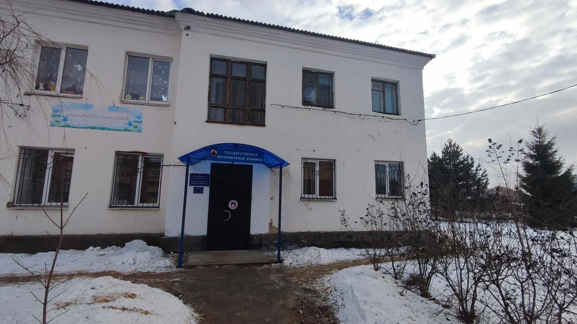 В ветеринарном пункте в Ожерелье сразу после открытия спасли бездомную собаку