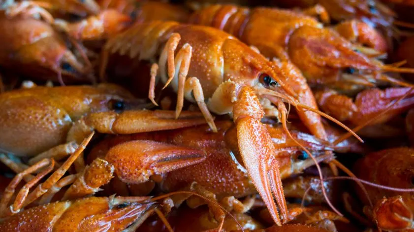 Раки тянут на зону: курьер украл 4 кг деликатеса у клиента в Волгограде