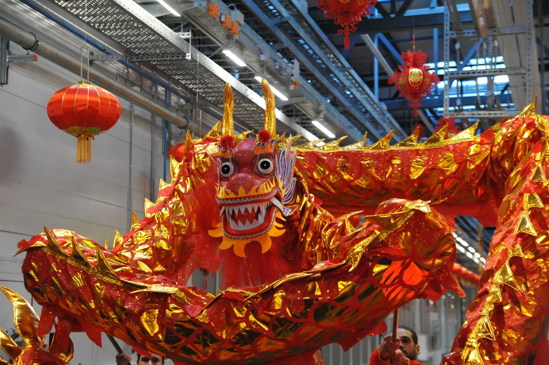 Сергей Дружинин, РИАМО