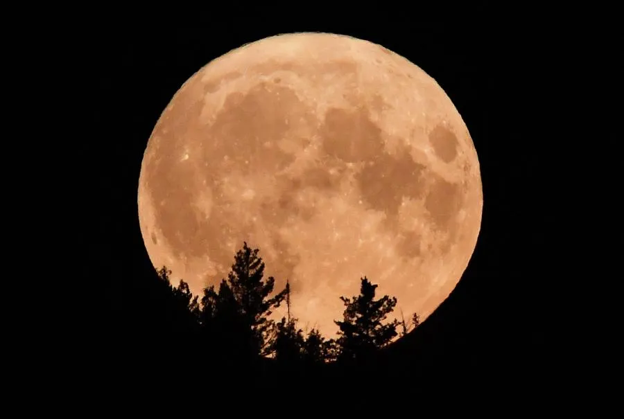 Илья Наймушин