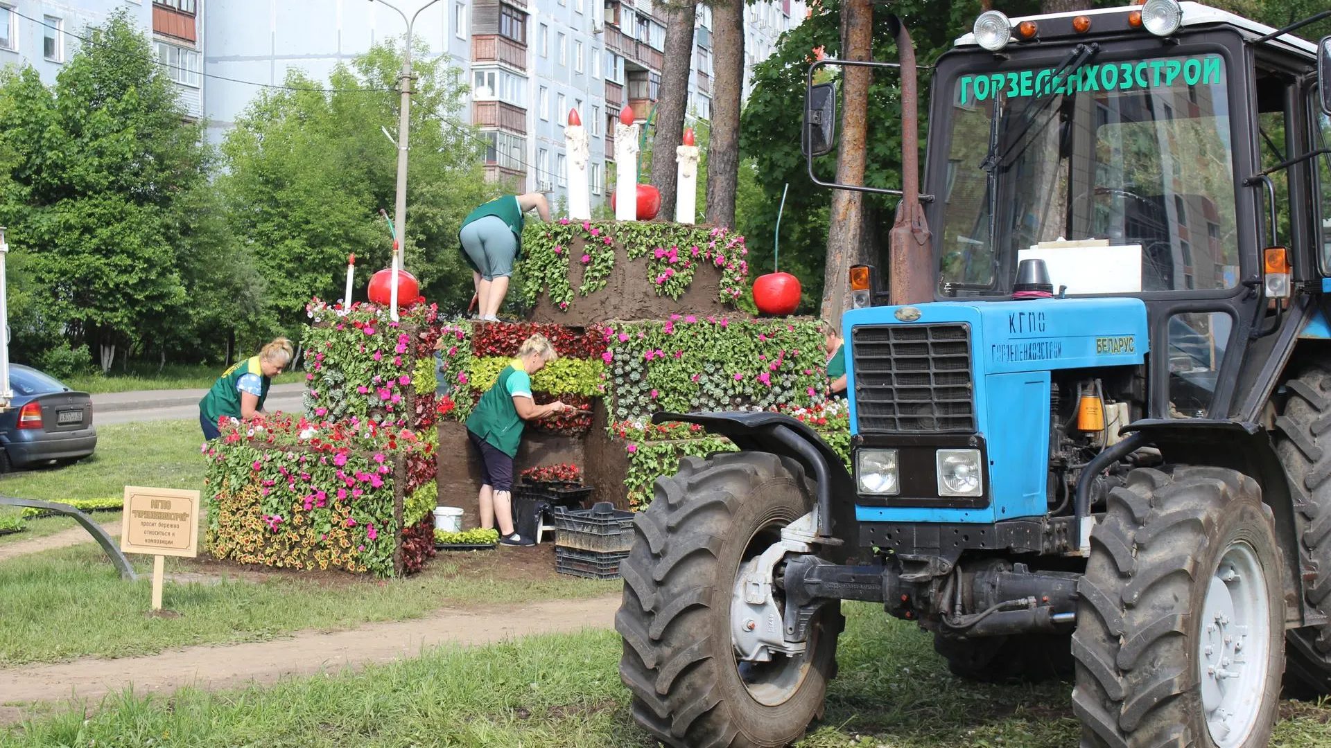В Королеве появятся цветочные композиции, посвященные чемпионату мира по футболу