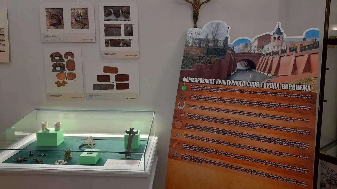 Выставка находок археологов «Земля. Лопата. Каска. Слой» проходит в Больших Вяземах