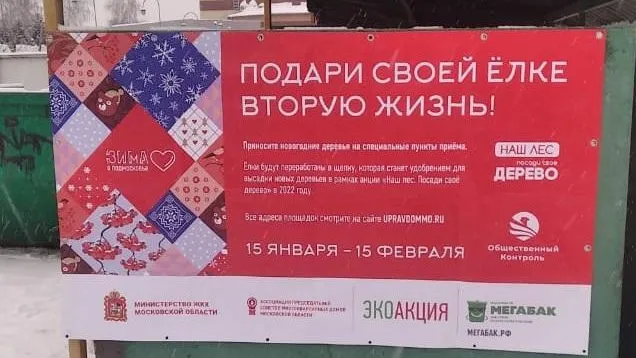 12 пунктов приема новогодних елок откроют в Люберцах 15 января
