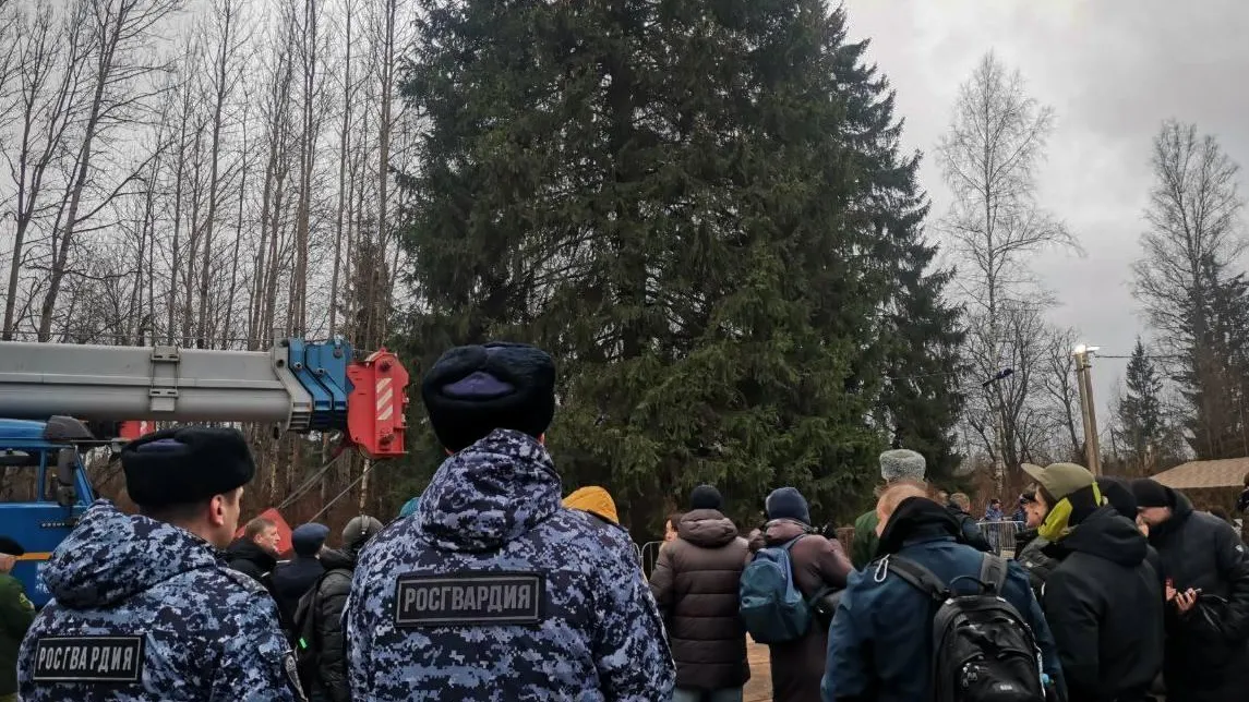 Росгвардия охраняет главную новогоднюю ель России в Рузском округе Подмосковья