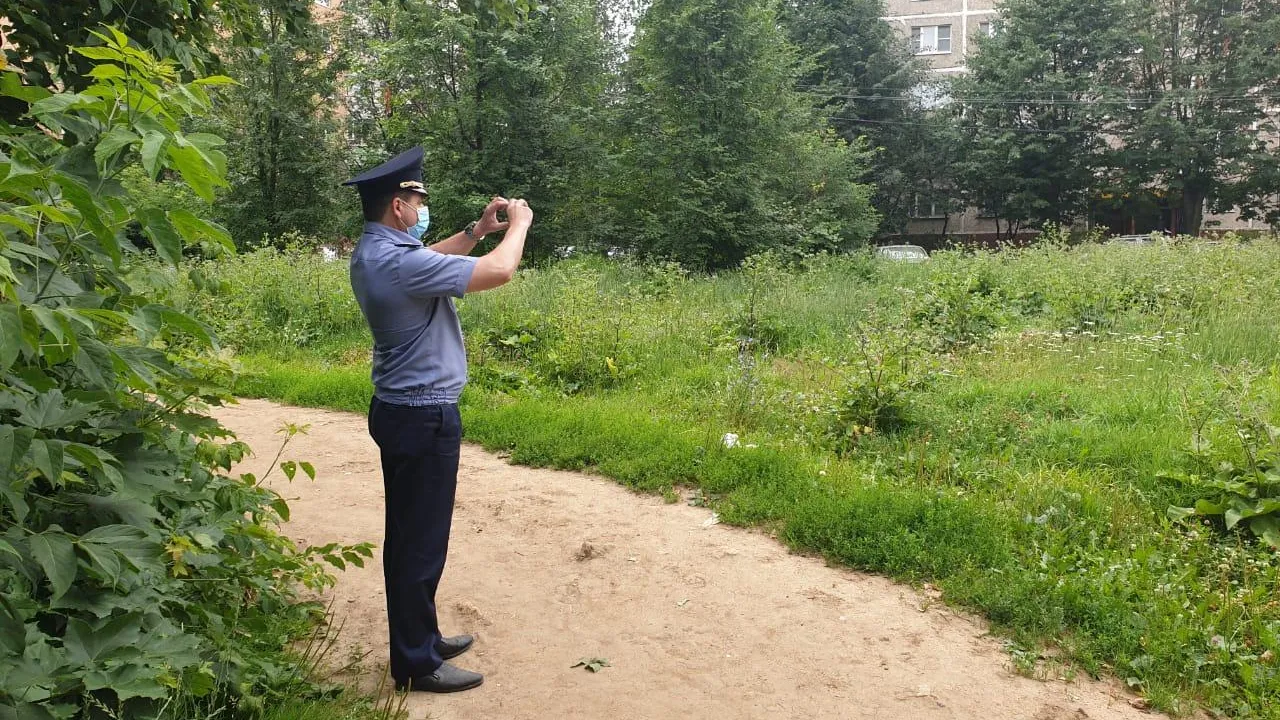 Более чем на 1,7 тыс общественных пространств Подмосковья скосили траву