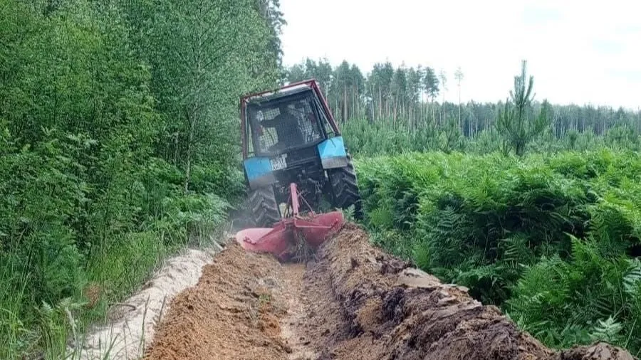 В лесничестве Орехово-Зуева завершили работы по устройству минерализованных полос