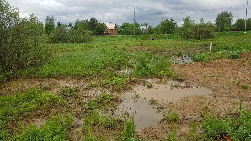 Компания в Одинцовском округе сбрасывала в ручей неочищенные сточные воды