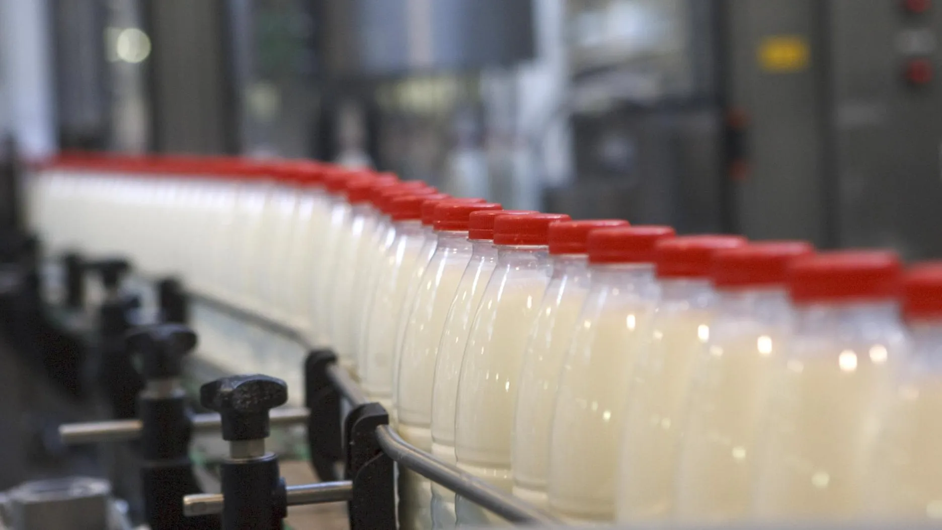 Молочная продукция из Подмосковья вызвала интерес в Башкирии