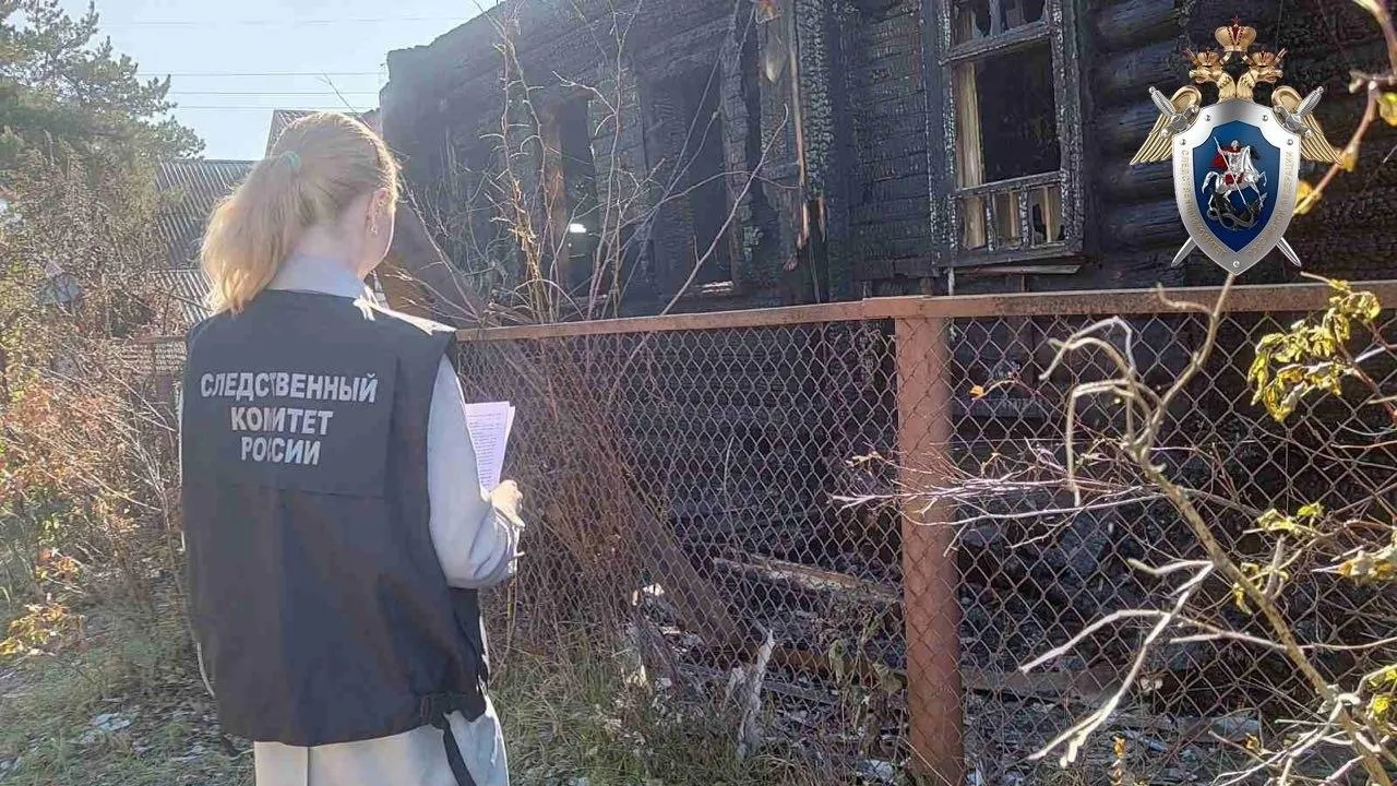 Заживо сжегший сестру в Заволжье получил пожизненный срок