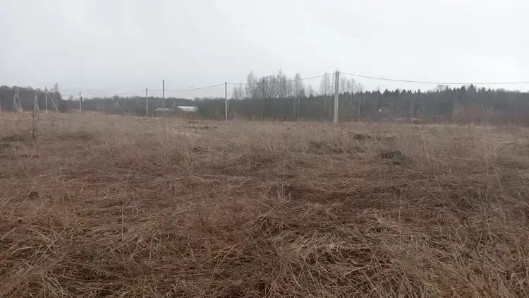Участок на торгах в Талдомском г. о.