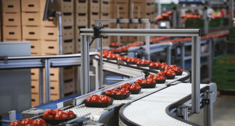 14 подмосковных брендов стали лауреатами премии «Народная марка» — 2025