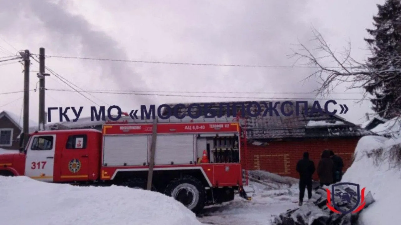 «Живы все 10»: каракалов и бенгальских кошек спасли на пожаре в Химках