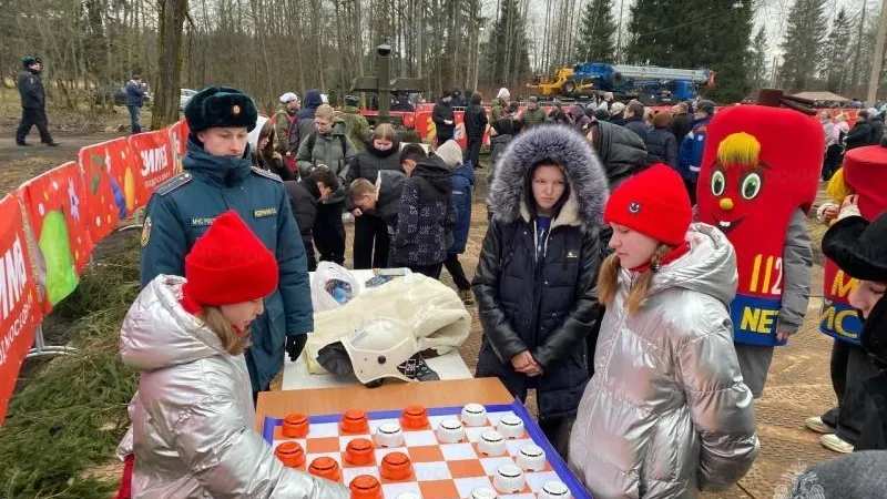 Сотрудники МЧС обеспечили безопасность при спиливании новогодней ели в Рузском округе