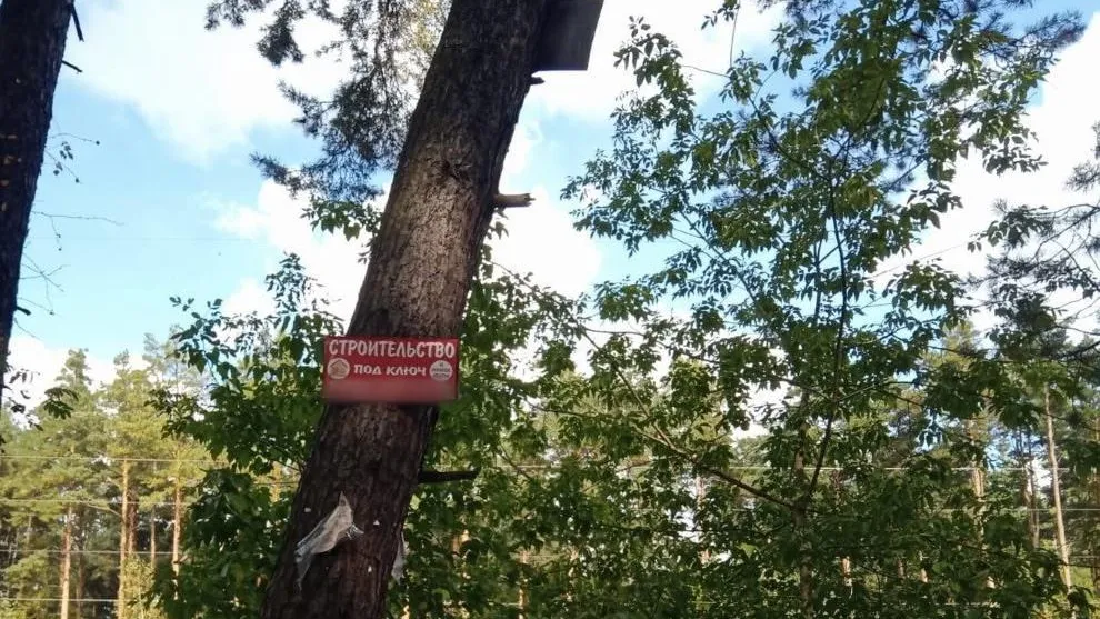 С начала года в Орехово-Зуевском лесничестве убрали 866 рекламных табличек