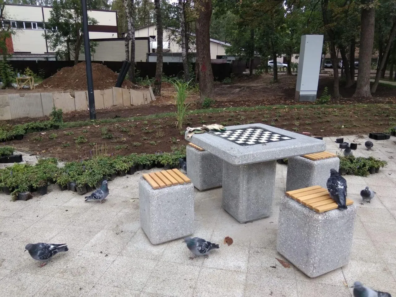 Романова Анастасия