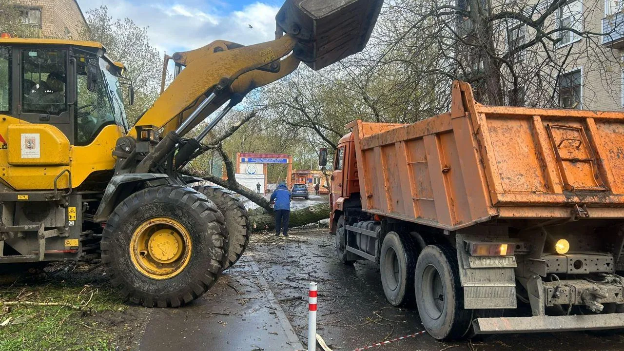 Кадры ликвидации последствий сильного ветра в Москве
