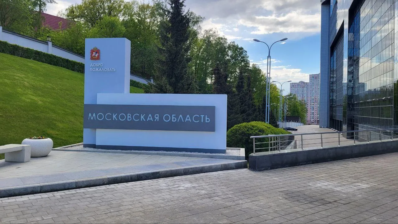 Свыше 20% самозанятых ЦФО работают в Подмосковье