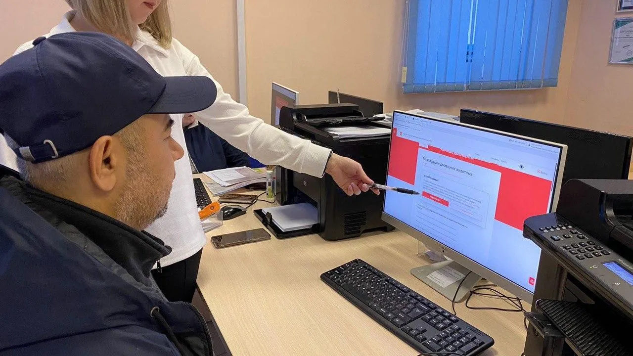 В МФЦ Подольска было принято более 30 тыс обращений по универсальной услуге ЕСИА