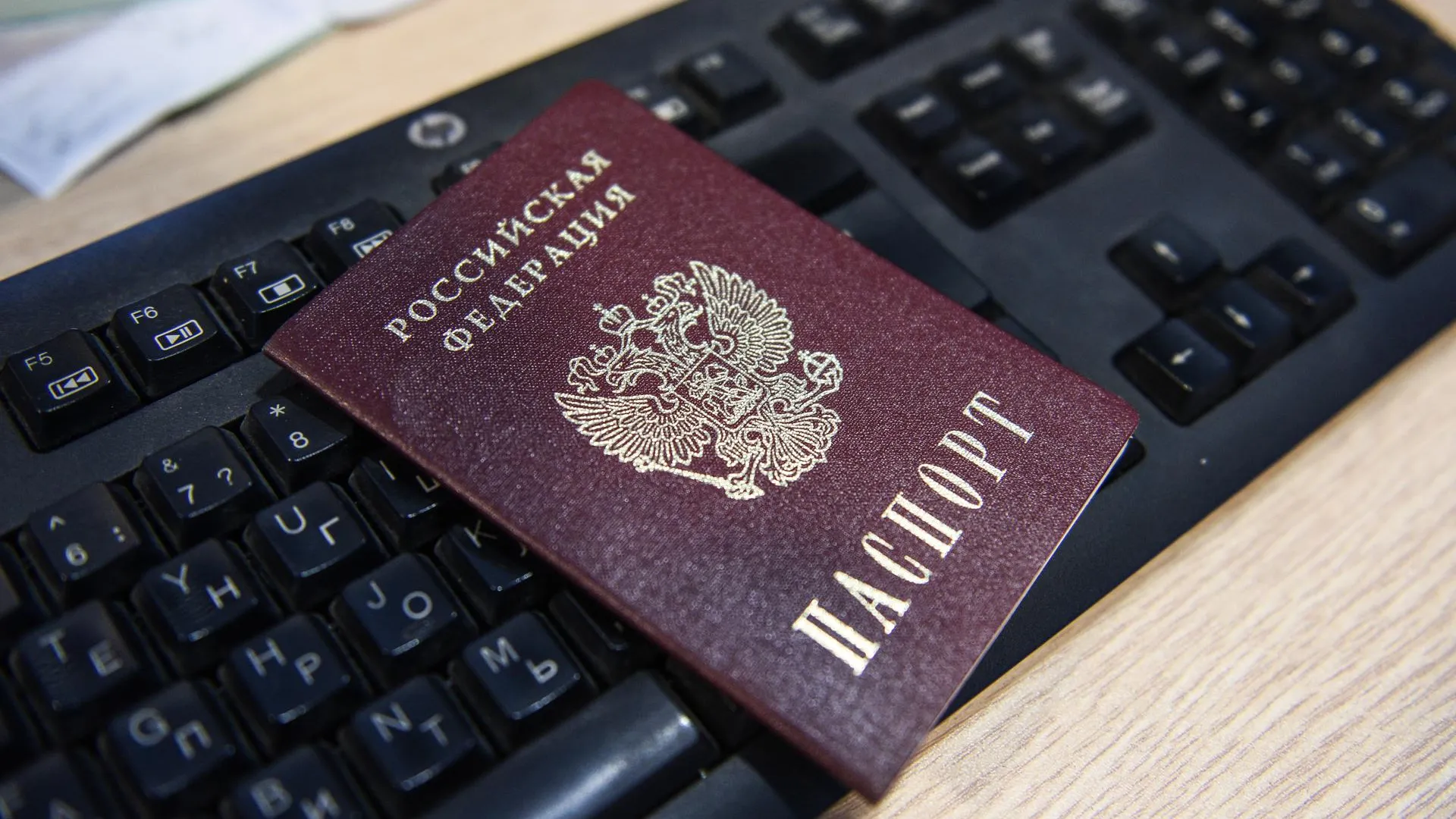 Волонтеры Подольска планируют помочь бездомной получить документы для возвращения домой