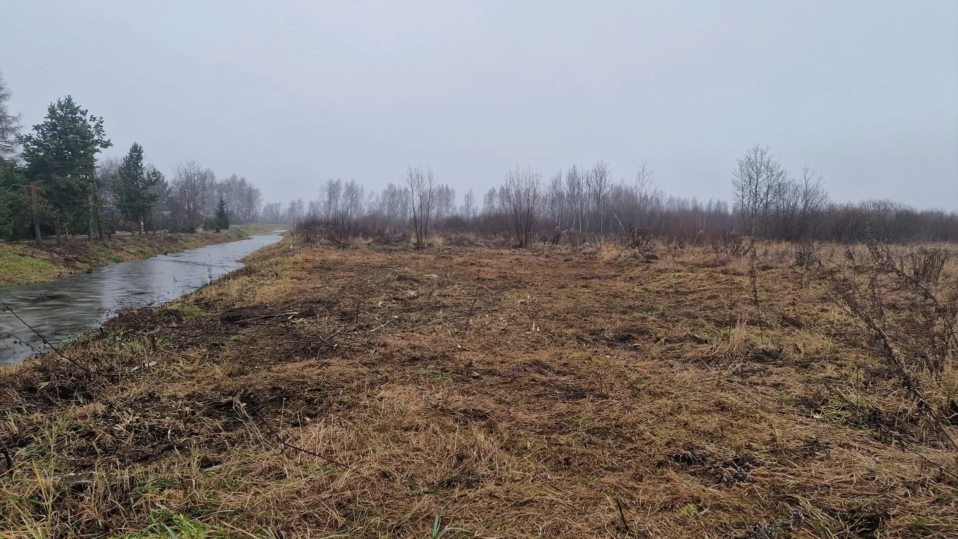 В Подмосковье внедрят роботизированную технику для обслуживания гидросооружений на торфяниках