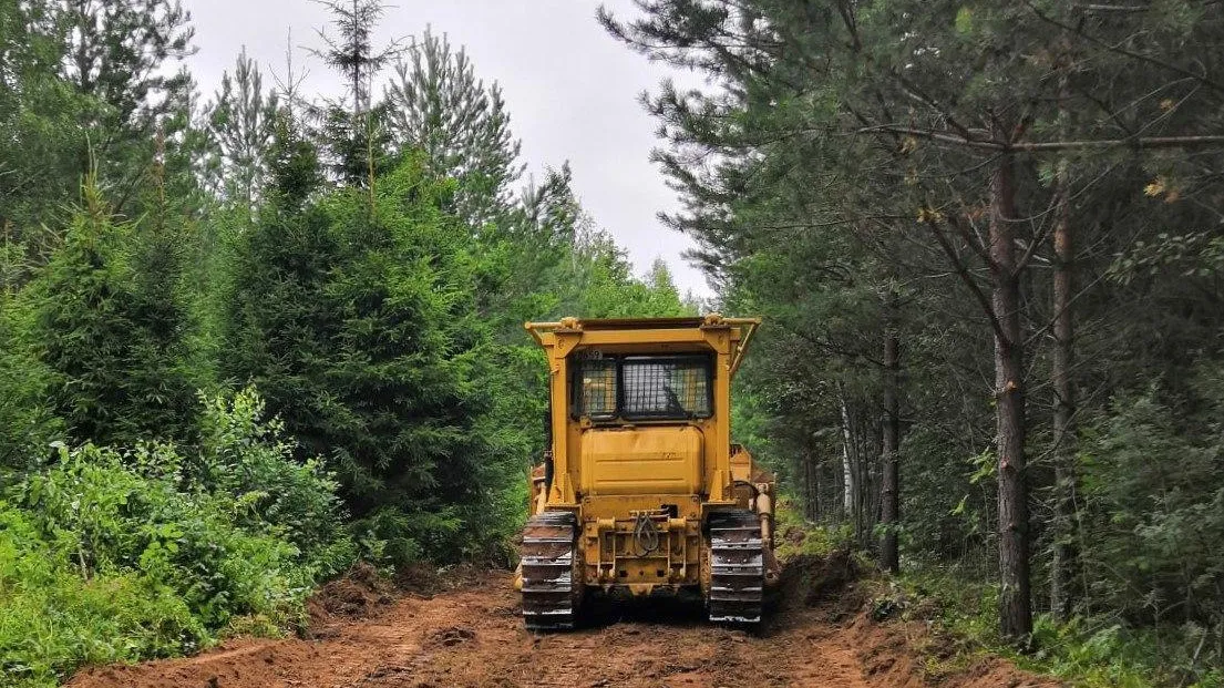 В Подмосковье полностью завершены работы по противопожарному обустройству лесов