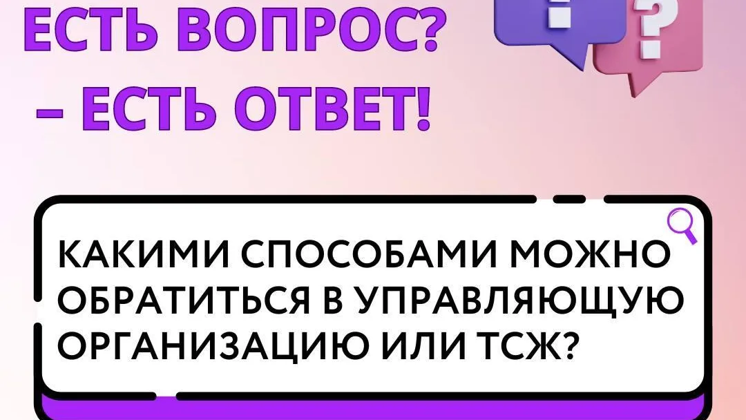 В Подмосковье объяснили, как можно обратиться в управляющую организацию или ТСЖ