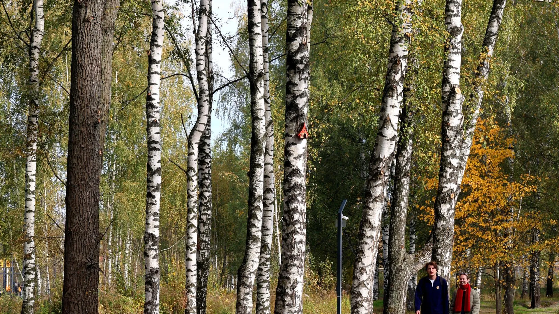 Жителям Павловского Посада предлагают принять участие в конкурсе фотографии