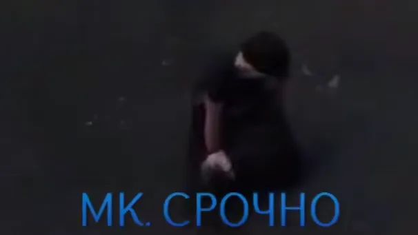 В Сети появились кадры спасения упавшей в Москва-реку девушки