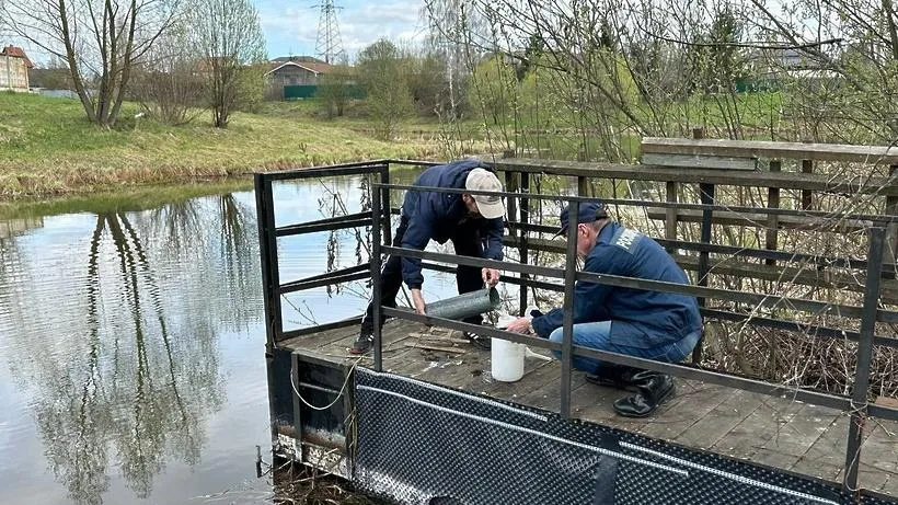 Экологи в Мытищах проверили качество воды в Капустинском заливе