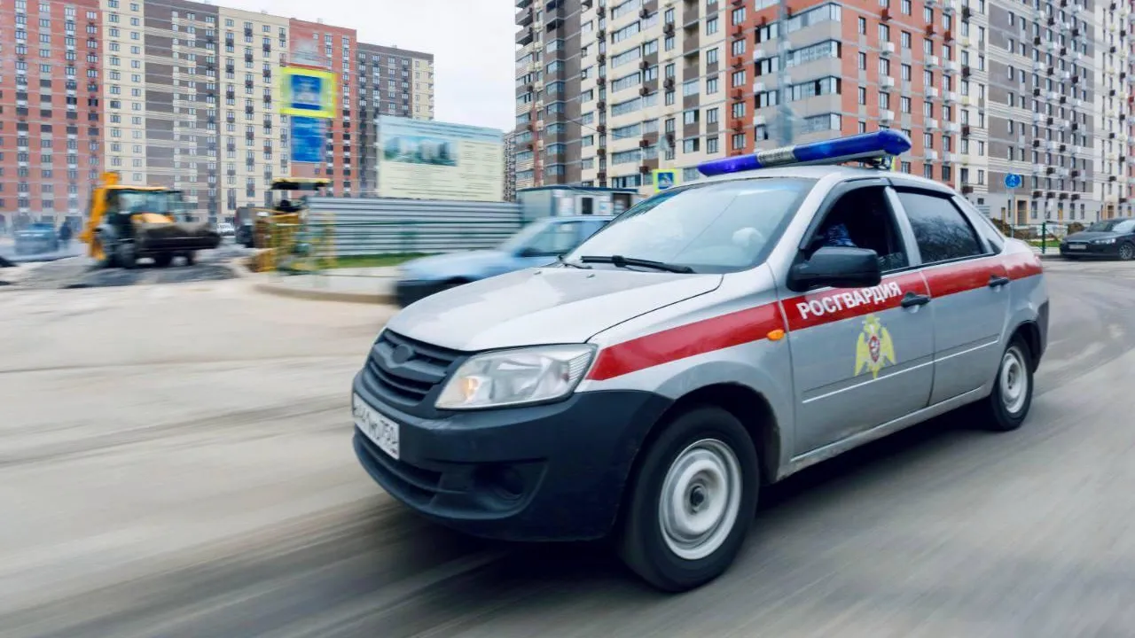 В Одинцове росгвардейцы задержали подозреваемую в краже шоколада
