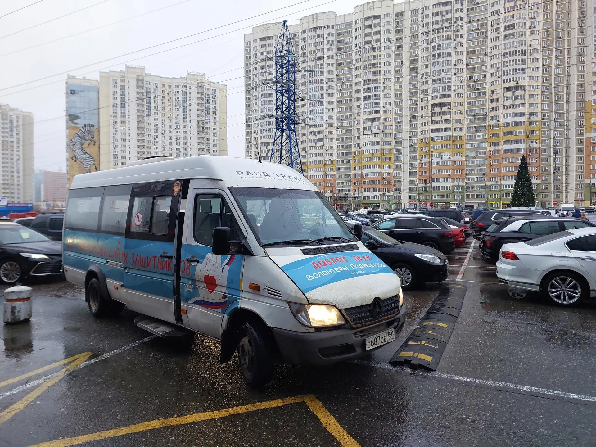 Дарья Писмаркина