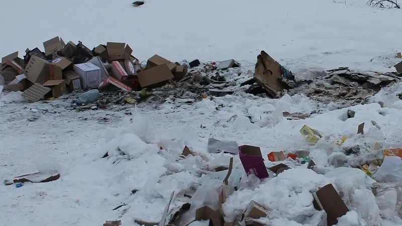 Нарушитель в Одинцовском округе заплатит 660 тыс за незаконное размещение отходов