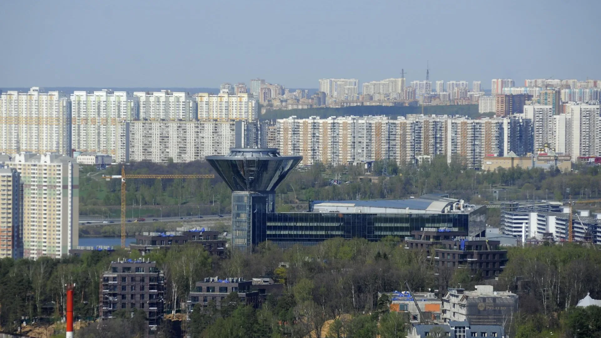 В Подмосковье опубликовано 55 закупок с 7 по 11 октября
