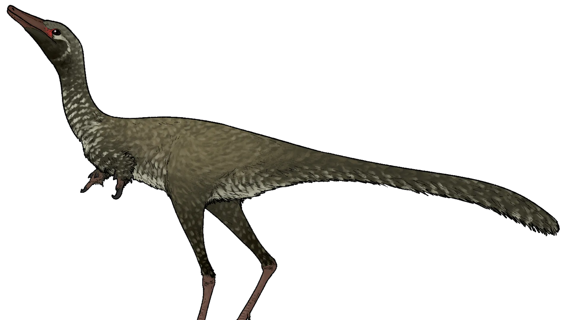 Российские ученые открыли динозавра, который воровал яйца у других ящеров