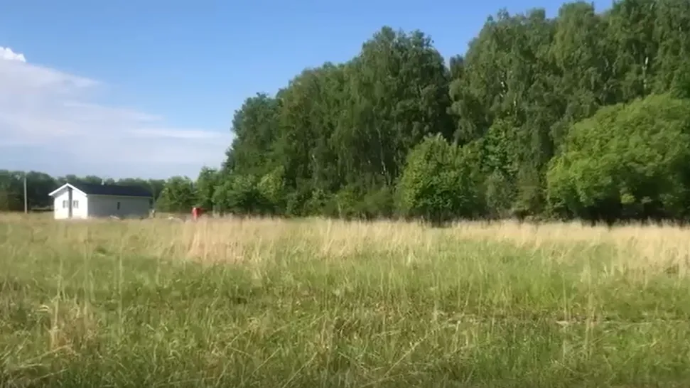 В Подмосковье за неделю на земельно-имущественные торги выставлено 148 объектов