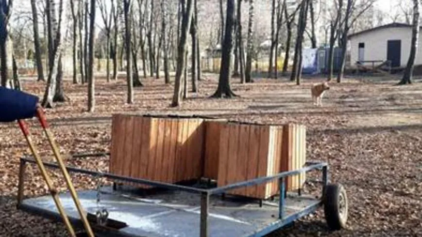 Дополнительные урны появились в парке «Наташинские пруды» Люберец