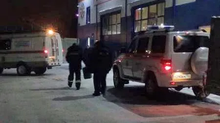 Потерявшихся в лесу маму с сыном нашли в Черноголовке
