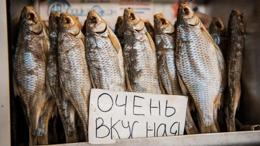 Волжская вобла оказалась под угрозой исчезновения