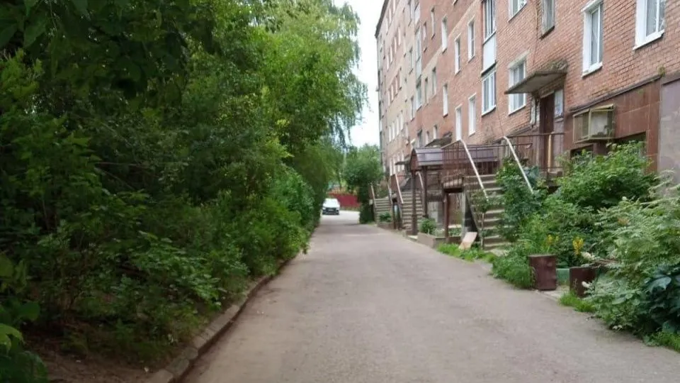 Жителям Подмосковья рассказали о том, что такое cмет и почему его нужно быстро убирать