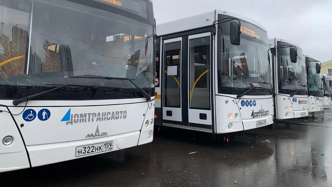 В Королеве проверят работу общественного транспорта в вечернее время