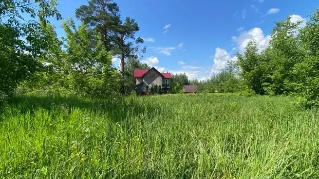В Подмосковье на торги выставили 144 новых объектов за неделю