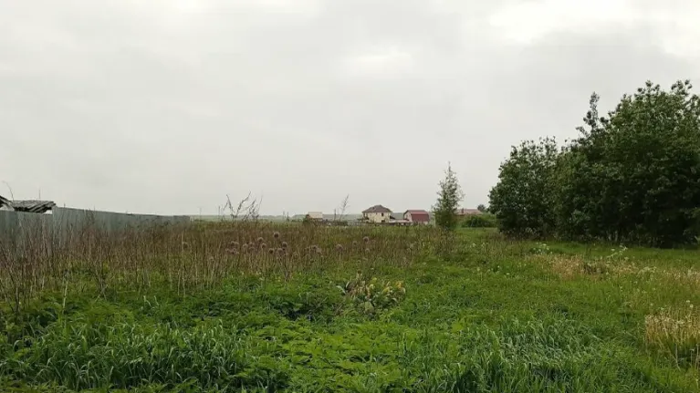 В Дмитровском округе на торги выставили 140 участков для строительства дома