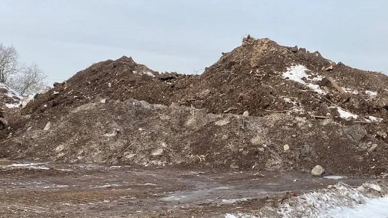 В Одинцове виновнику незаконного размещения отходов придется выплатить 7 млн руб